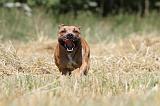 STAFFIE 122
